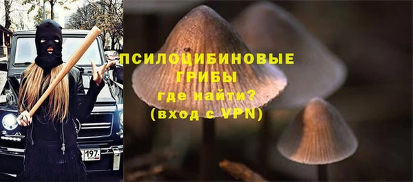 соль ск Мегион