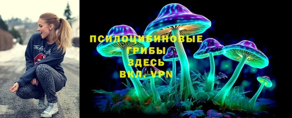 a pvp Медвежьегорск