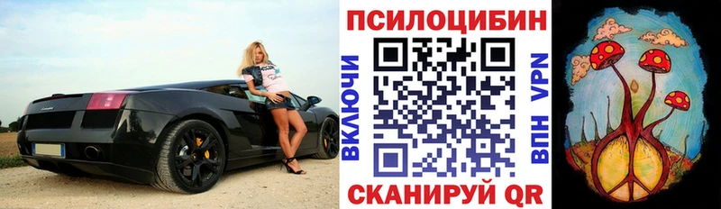 MEGA ТОР  где купить наркотик  Мирный  Галлюциногенные грибы прущие грибы 