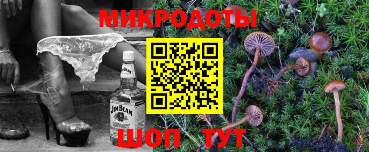 Галлюциногенные грибы Psilocybine cubensis Мирный