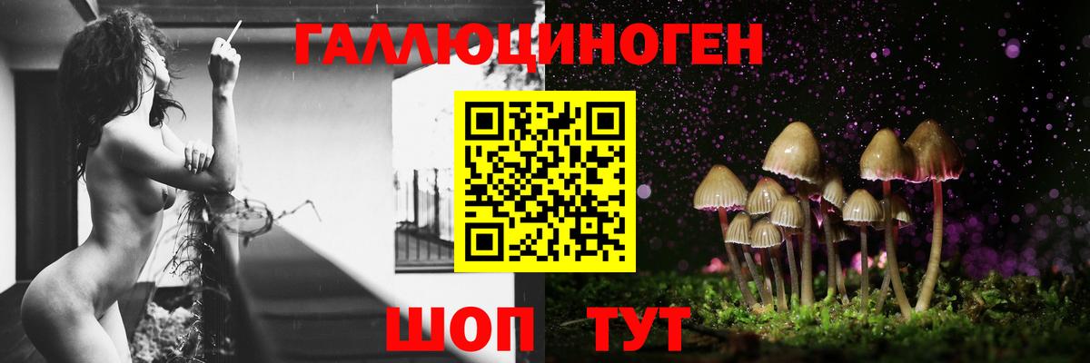 Псилоцибиновые грибы Cubensis  Галлюциногенные грибы мицелий  Вход с VPN  Мирный 